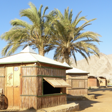 Photo Of Hut With Palm Tress Behind It
